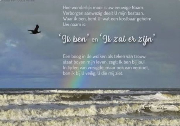 Ellen van Hartingsveldt-vd Wel tweet media