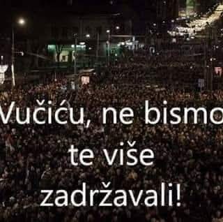 Jelena Mitic tweet media