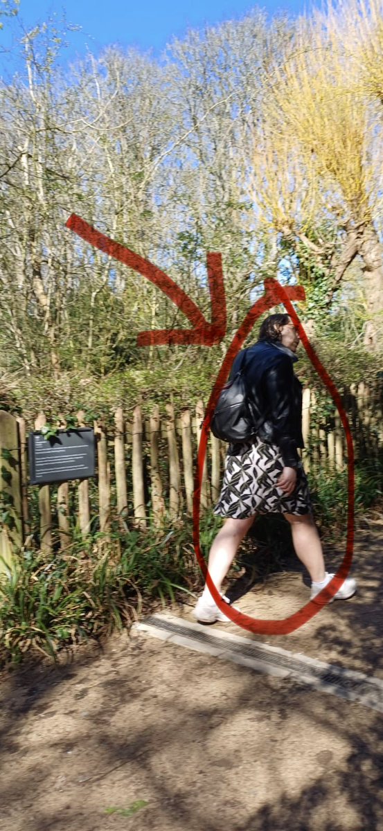 Rob Hind tweet media