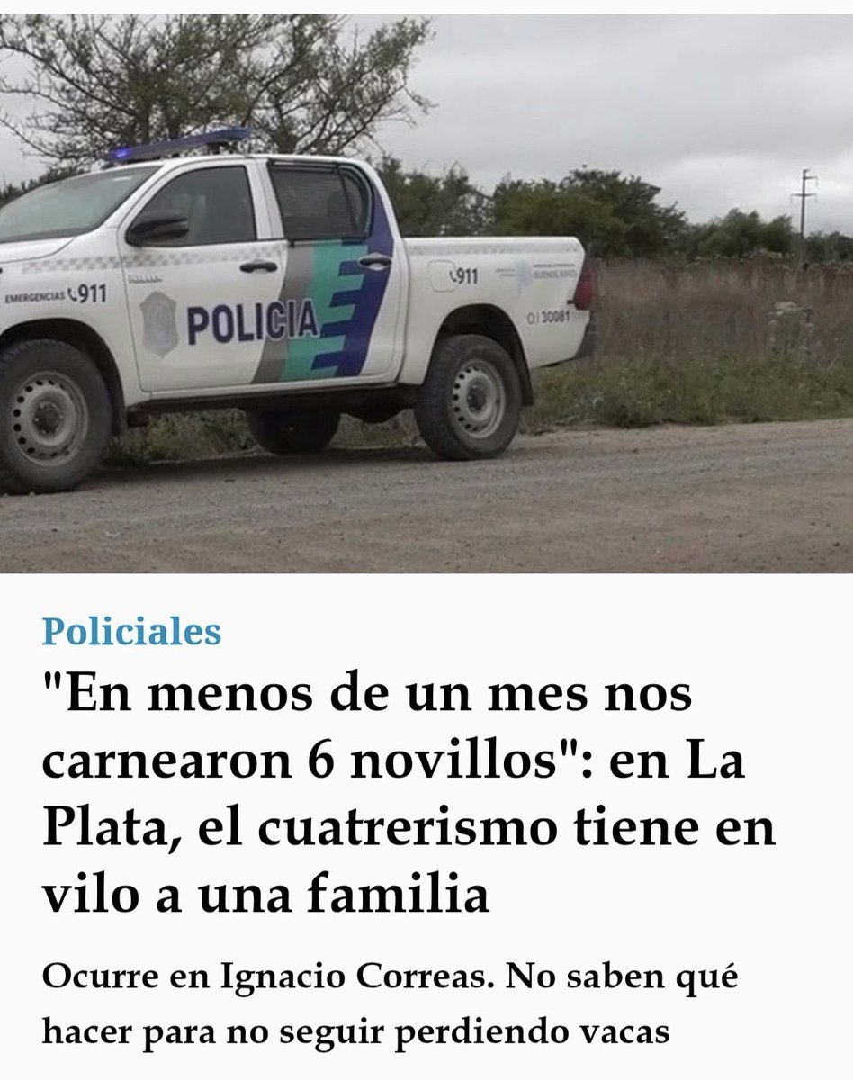 Silvina Vaccarezza tweet media