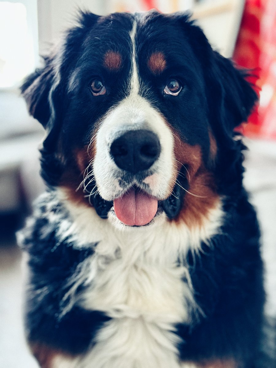 Mark Soares tweet media