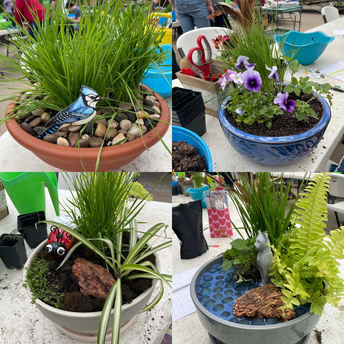 SAFE Team Rescue tweet media