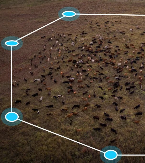 Earth’s Beauty tweet media