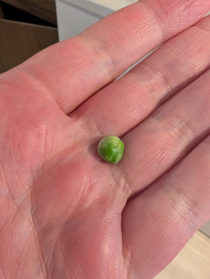 BlueEyesRobot - Not Live tweet media