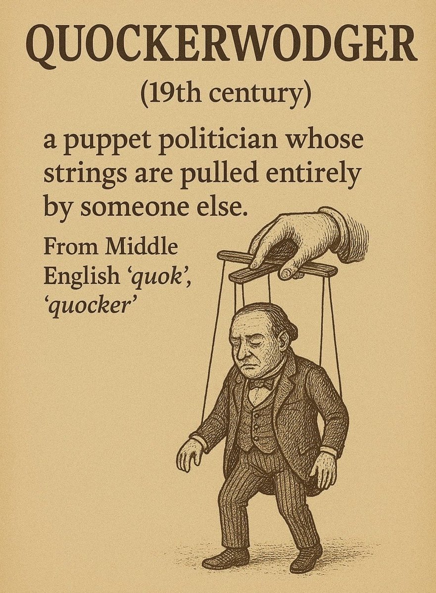 🤡STEVOW🚫🟢🟡 tweet media