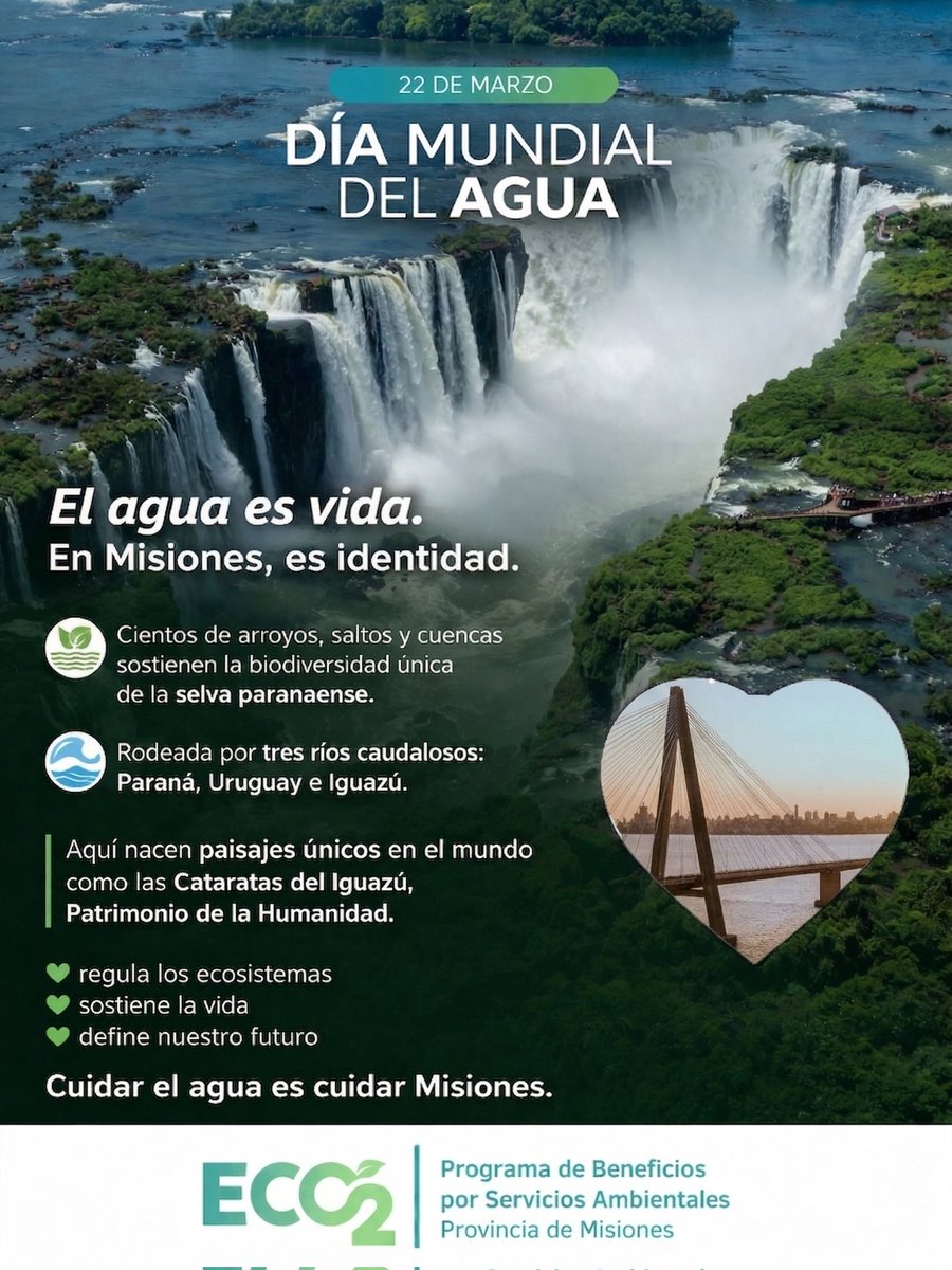 Programa JNR Misiones tweet media