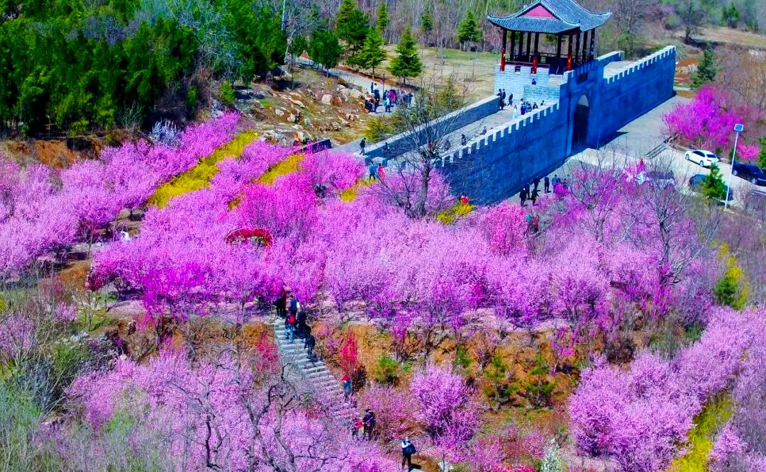 Connie M tweet media