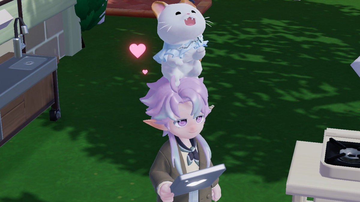 🐈‍⬛ tweet media