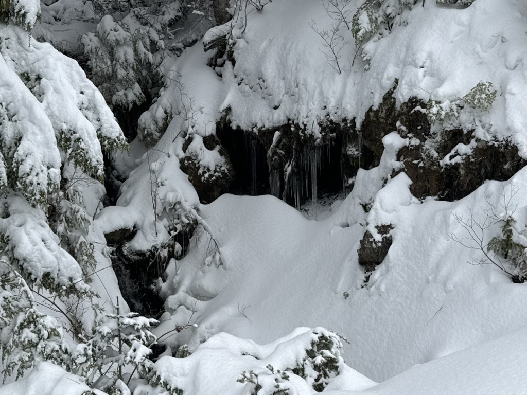 UltraPrincess tweet media