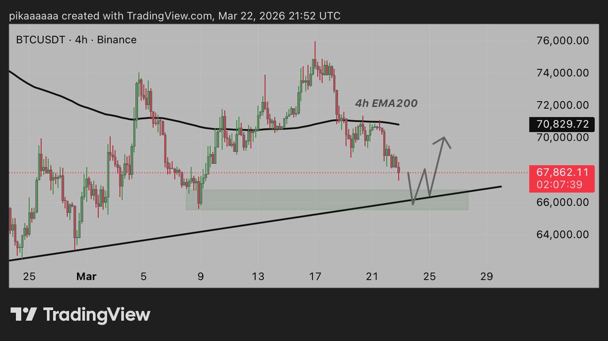 PikaCrypto tweet media