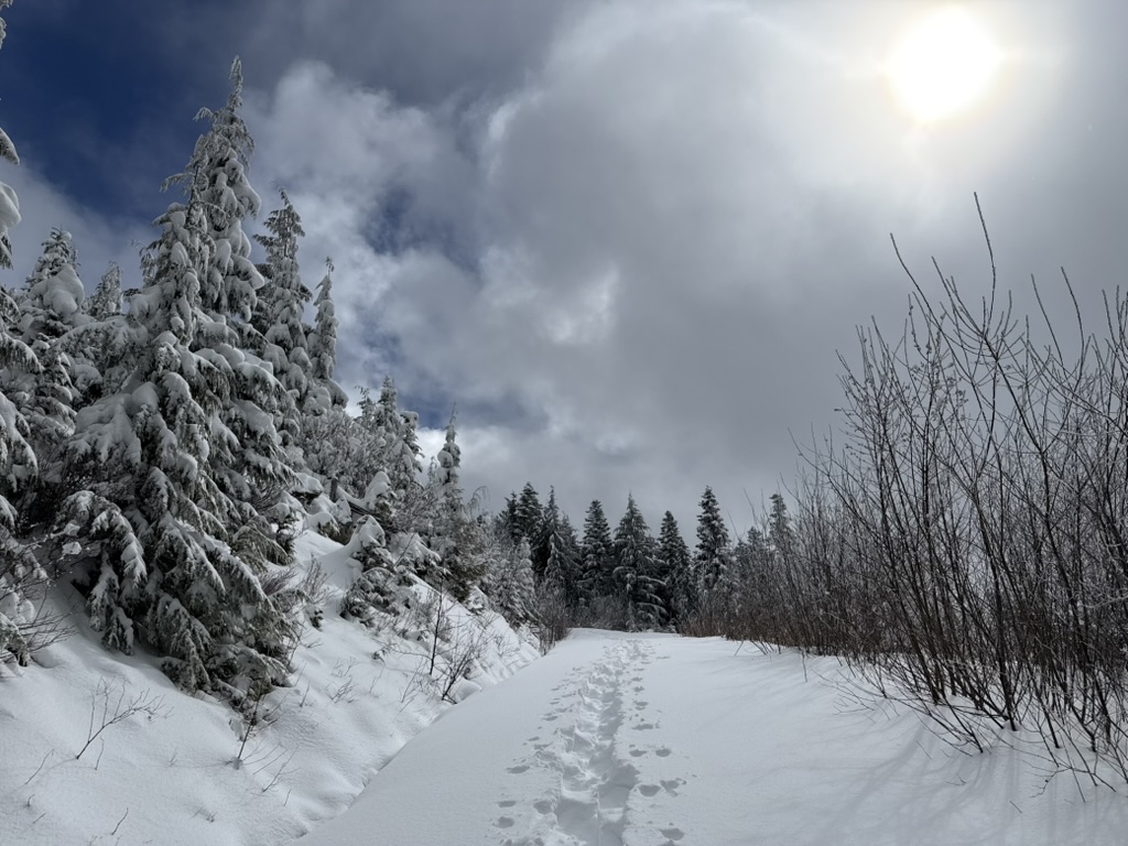 UltraPrincess tweet media