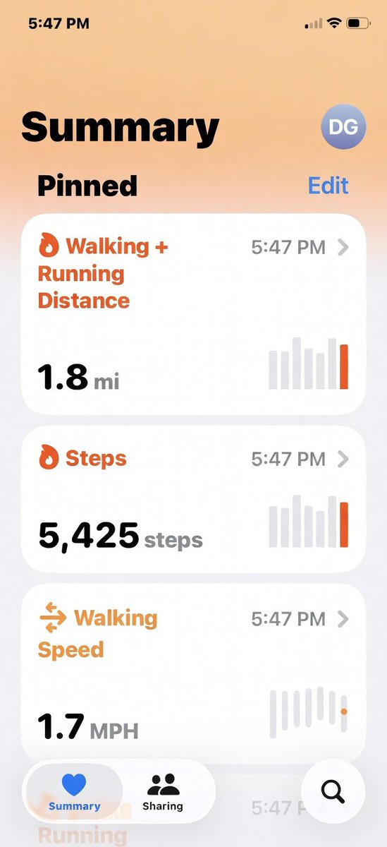 dg1 🇺🇸 🇮🇱 tweet media