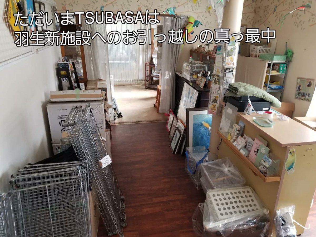認定NPO法人TSUBASA -新施設クラファン達成しました！- tweet media