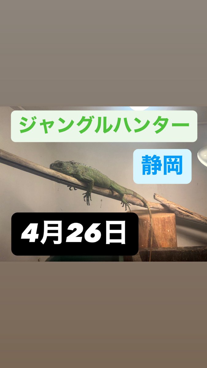 JHスタッフ tweet media