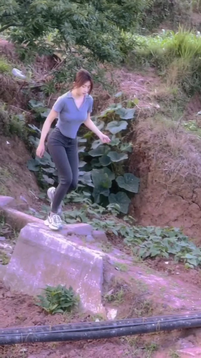 Connie Noble tweet media