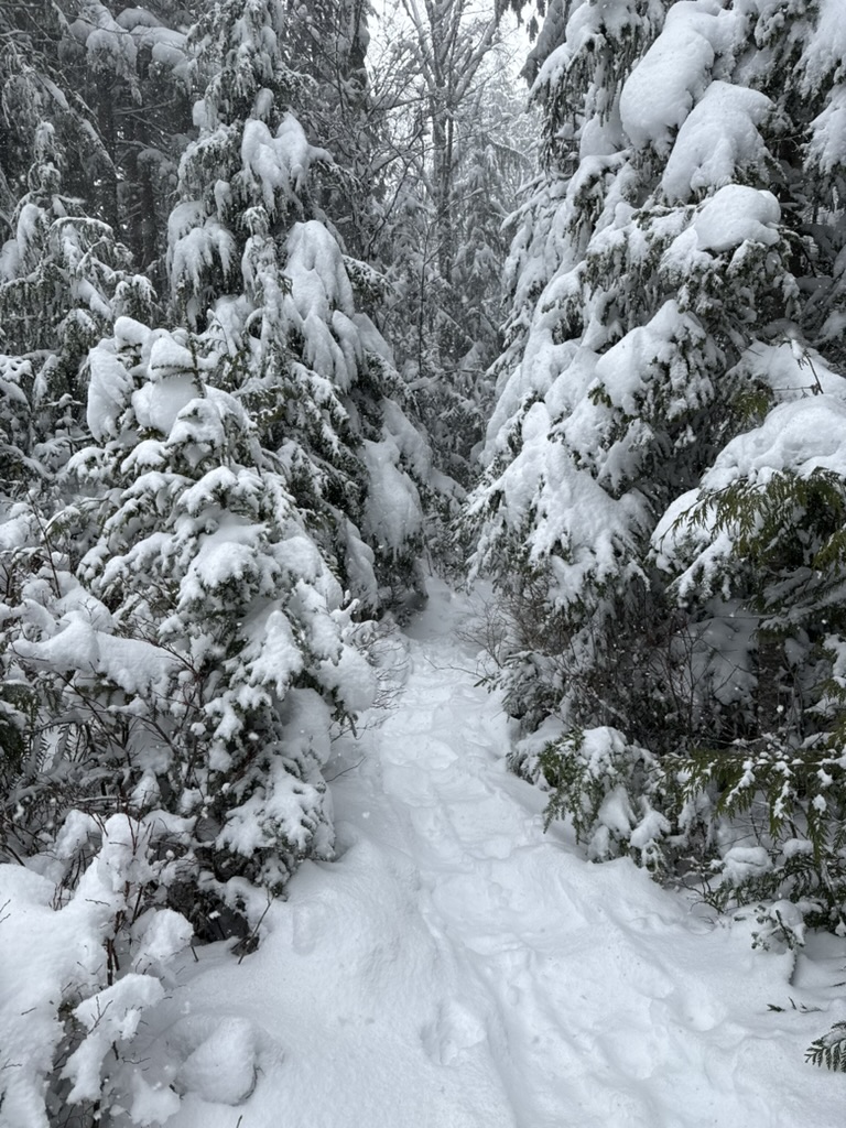 UltraPrincess tweet media