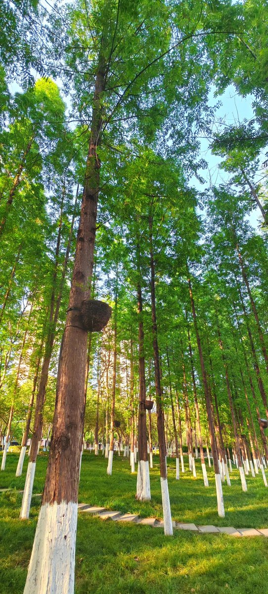 Tiffany Rael tweet media