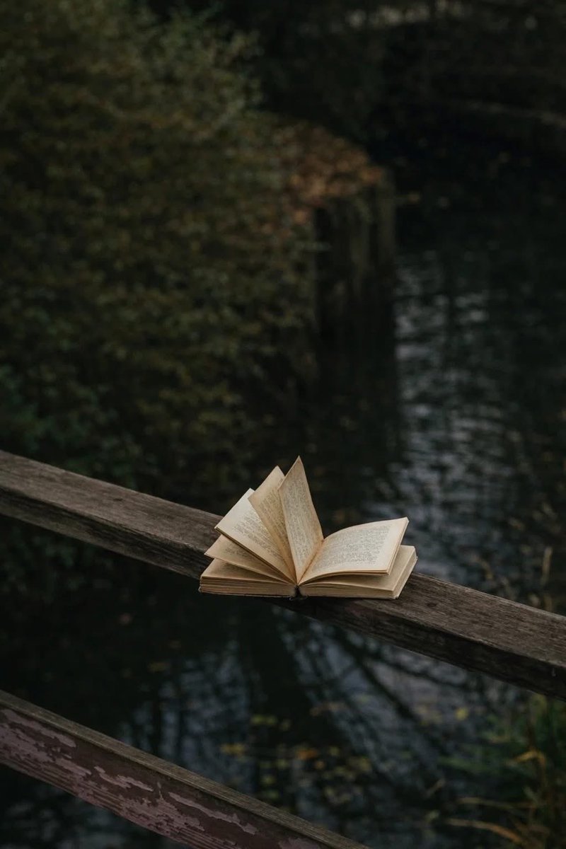 فلسفة مُلهمة ‏ tweet media