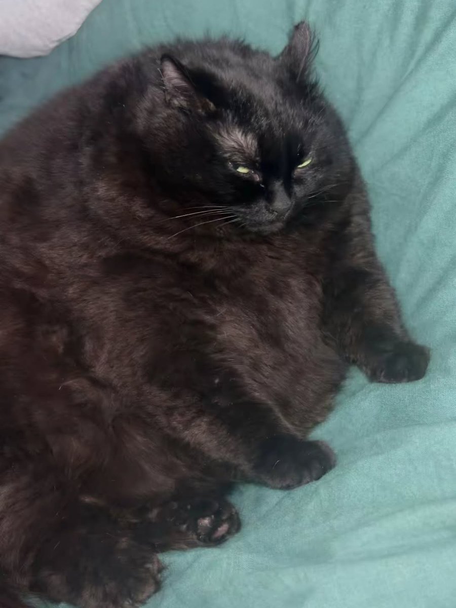 Earth Is A Sales Funnel For SATAN tweet media