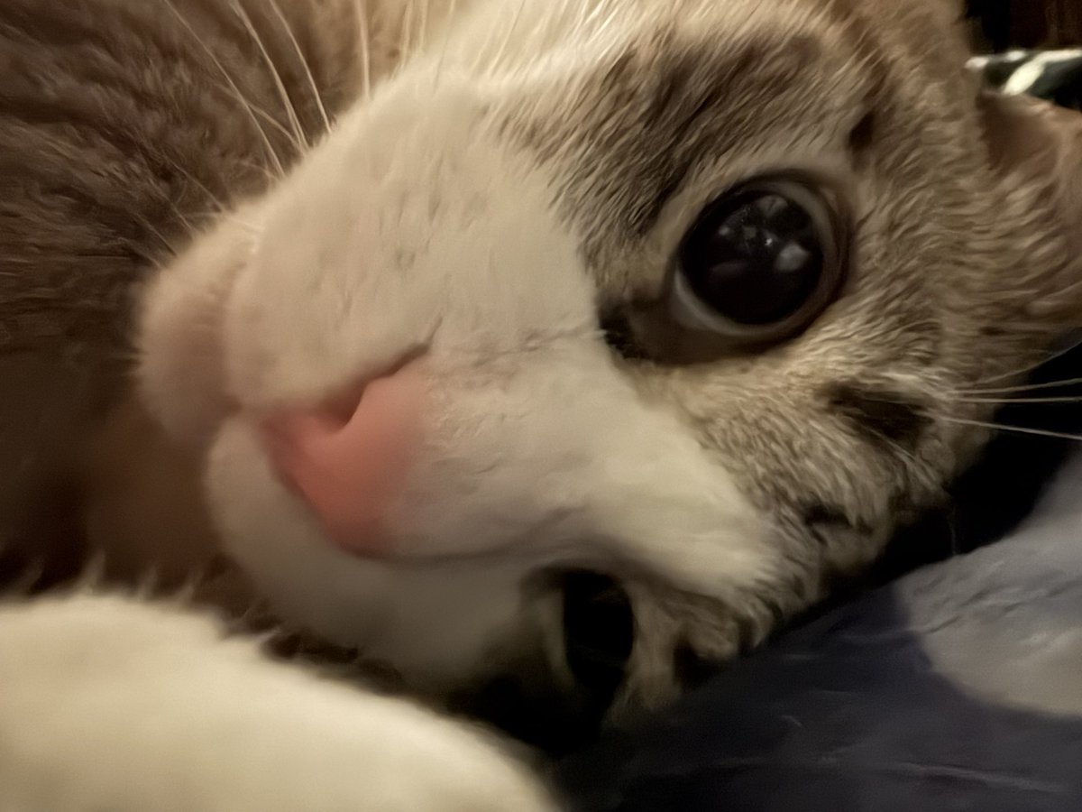 ずんた★もっち tweet media