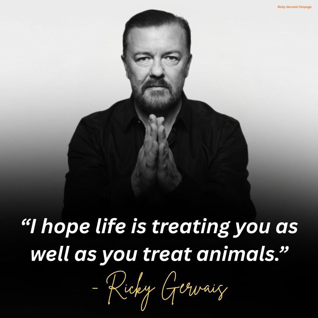 Sandra Olechnowicz tweet media