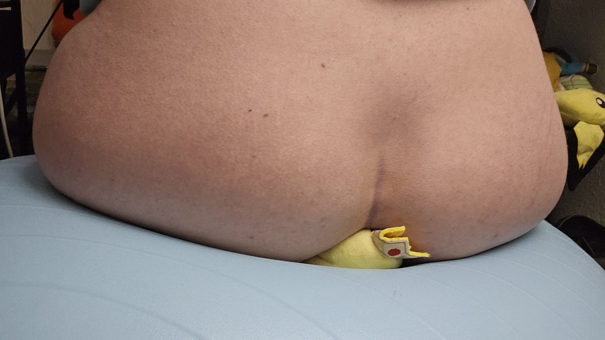 PaleBandit tweet media