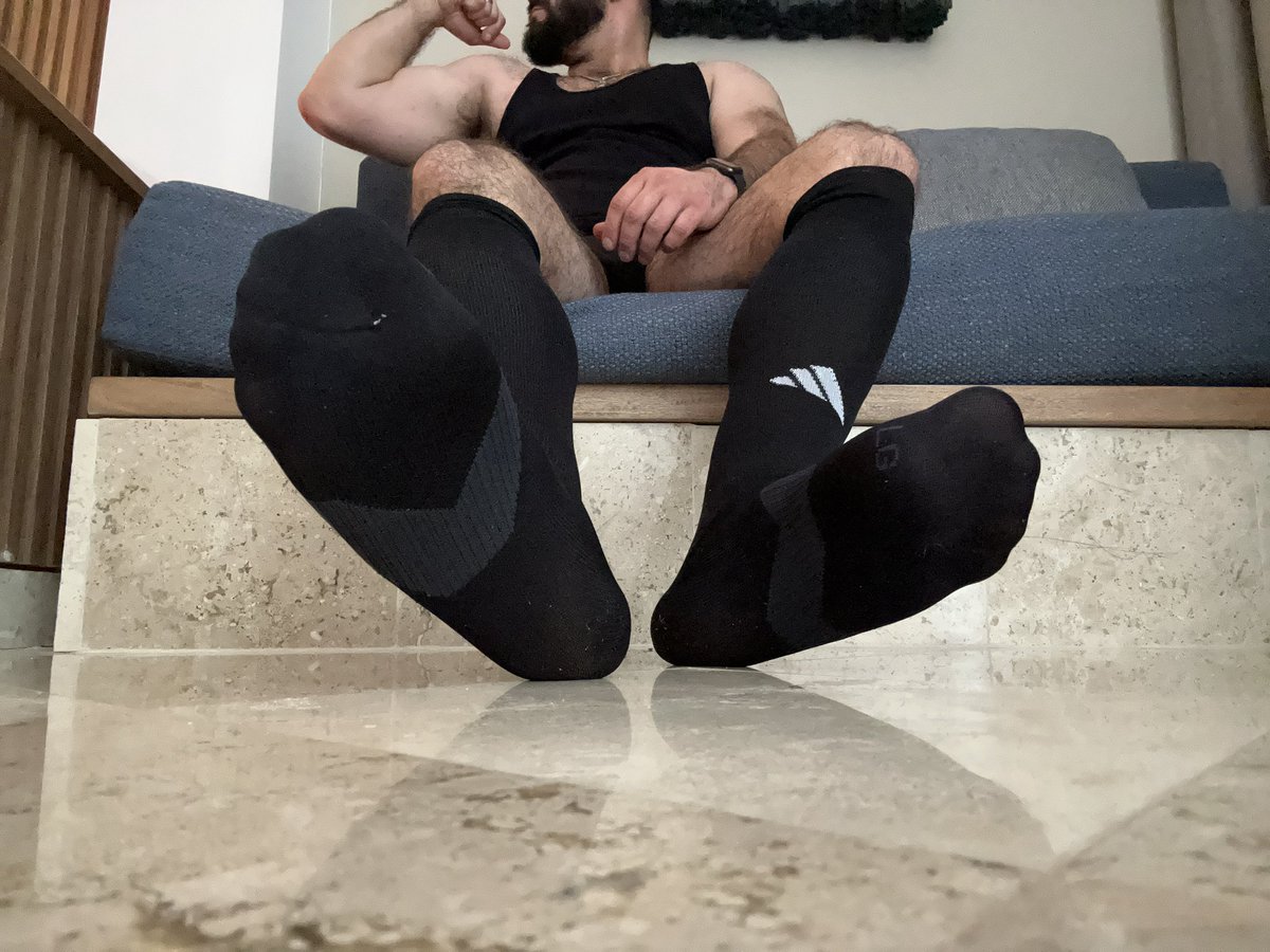 Dominus Leo tweet media