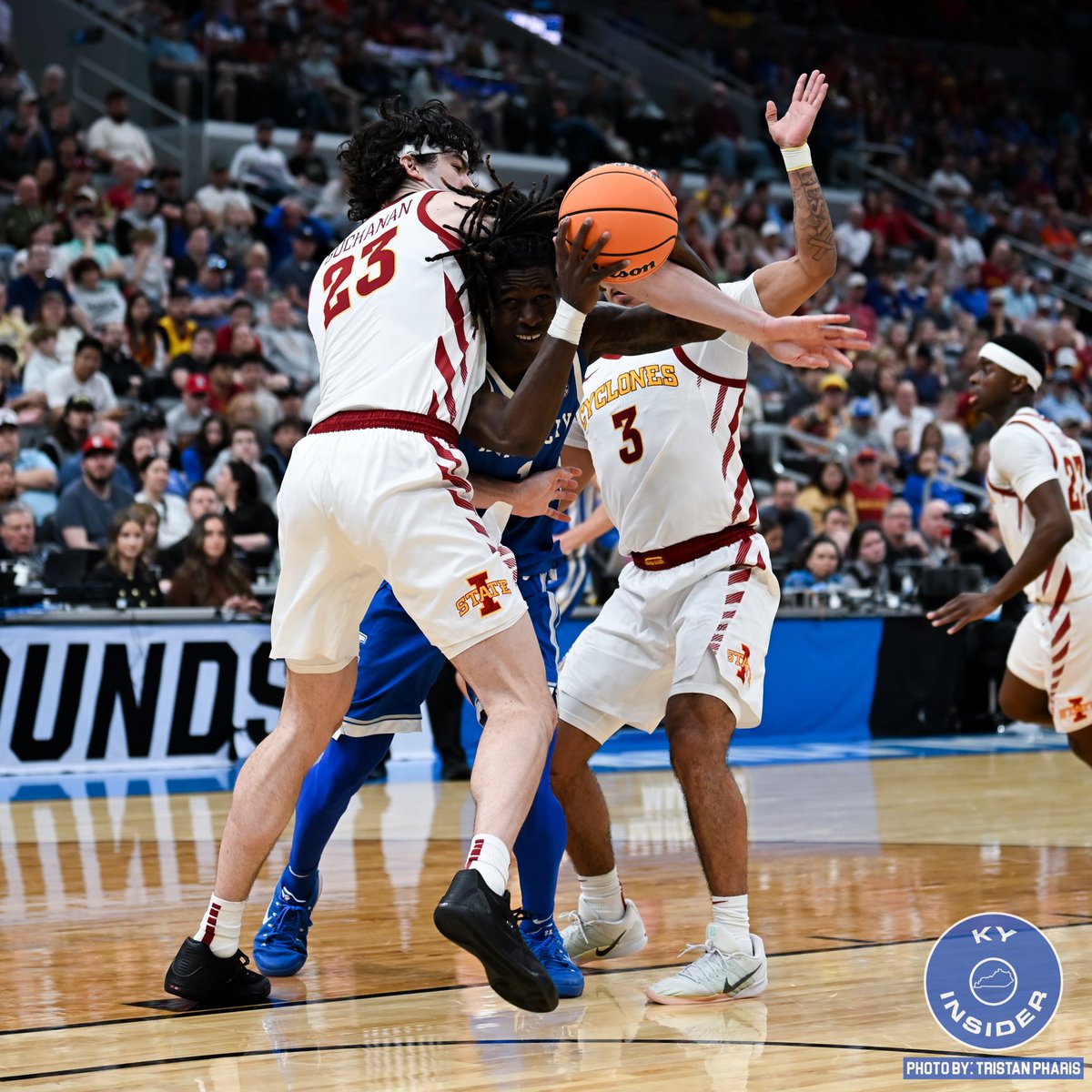 Dat Blue Cat tweet media