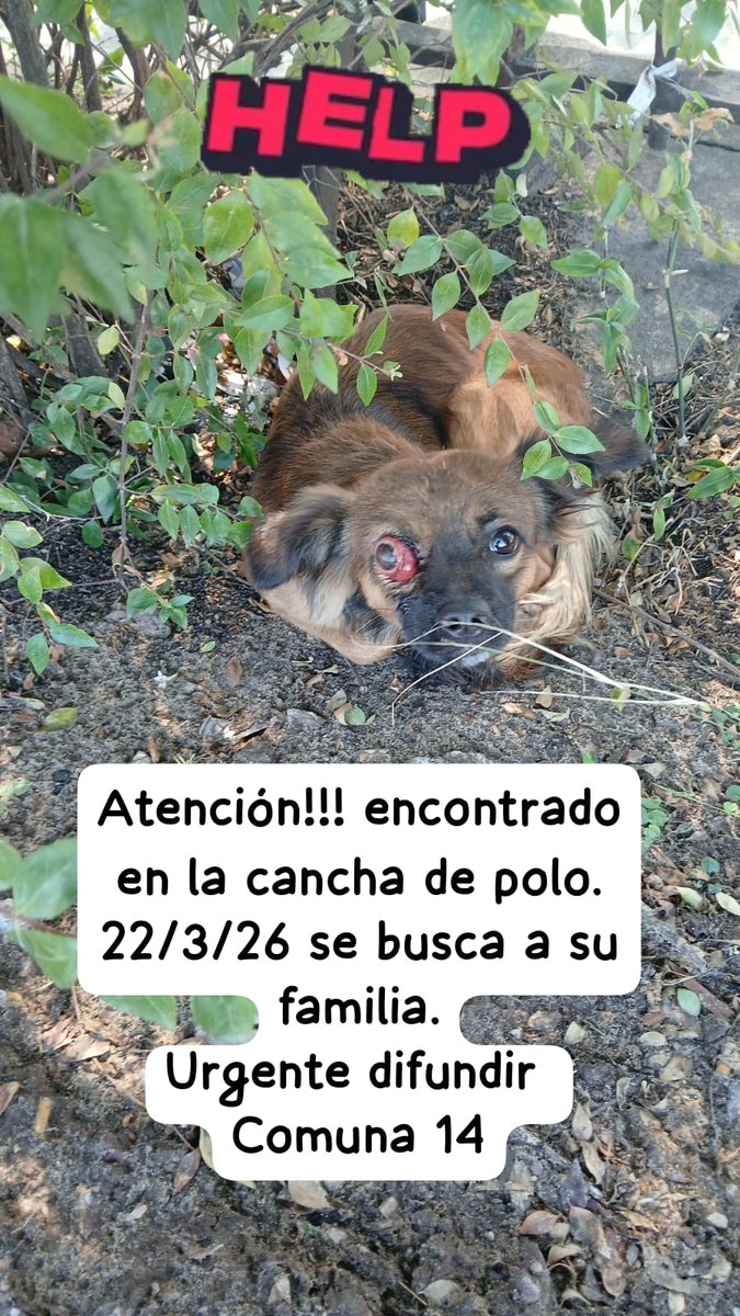 Sandra Constantopulo tweet media