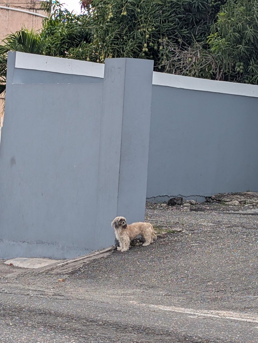 Your friendly neighbourhood baddie tweet media