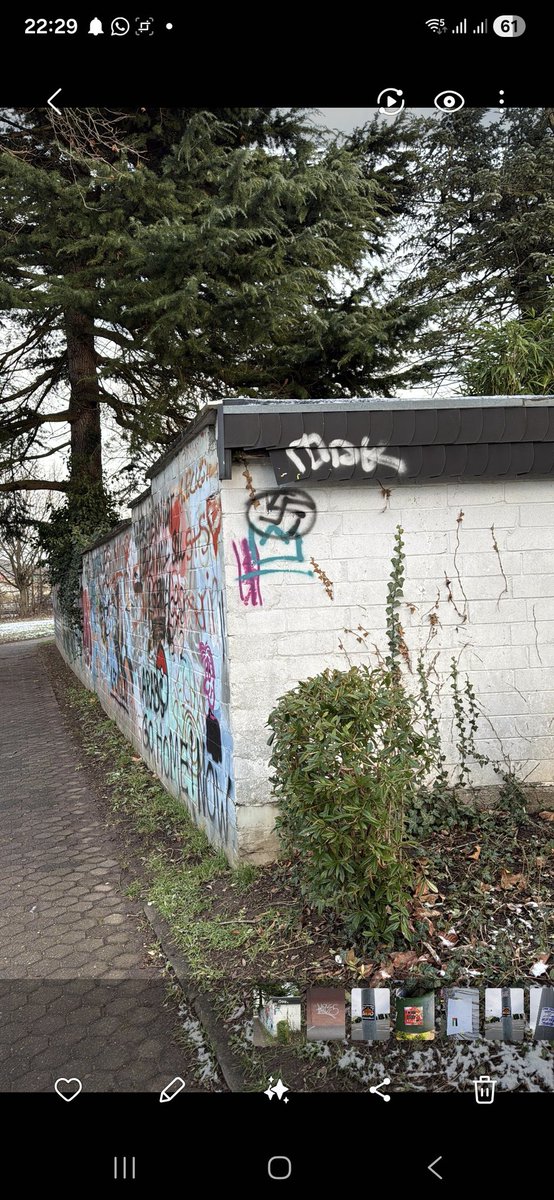 pandanymous NRW tweet media