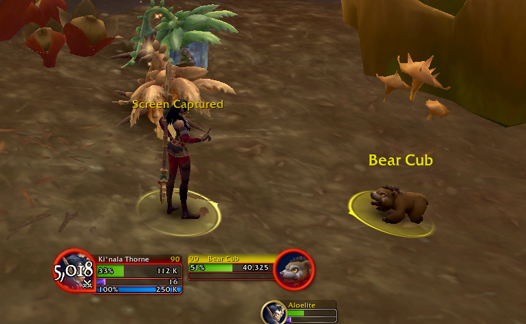 momo 🥀 tweet media