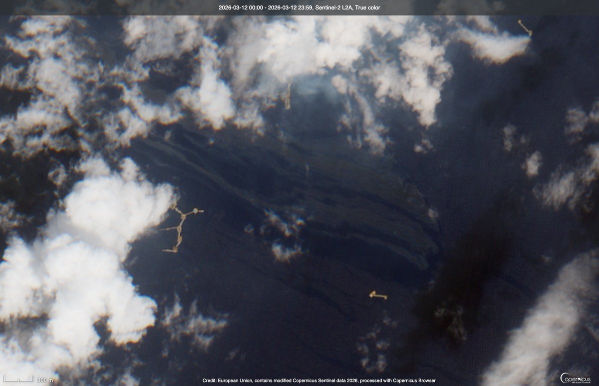 Pandita rojo 🐳 tweet media