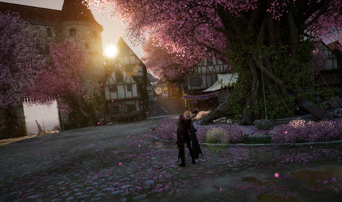 蓮史郎 tweet media