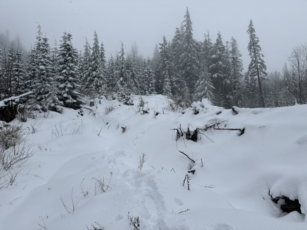 UltraPrincess tweet media