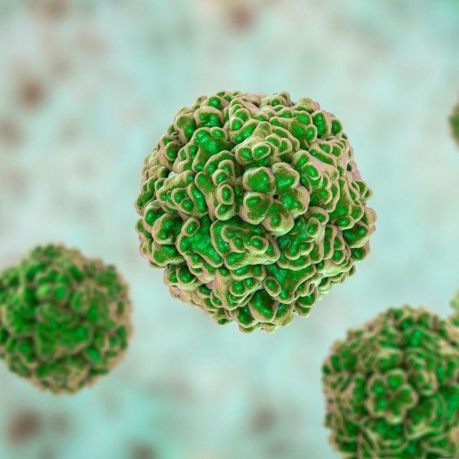 Anlık Haber Analiz tweet media