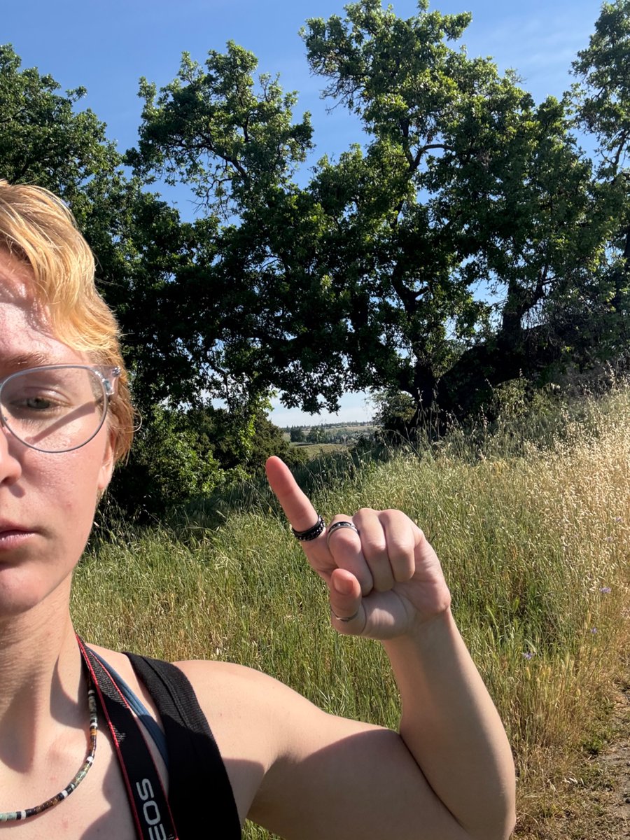 hannaH 🐦⬛✖️✖️ tweet media