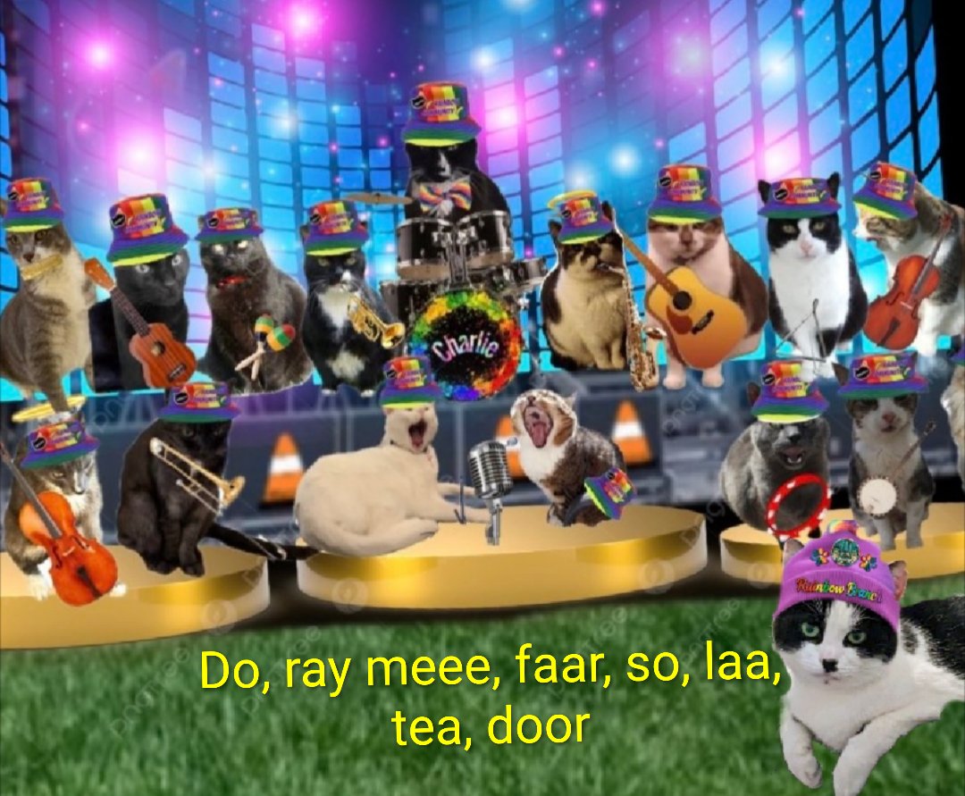 Angel Chester_T_Kitty 🌈 tweet media