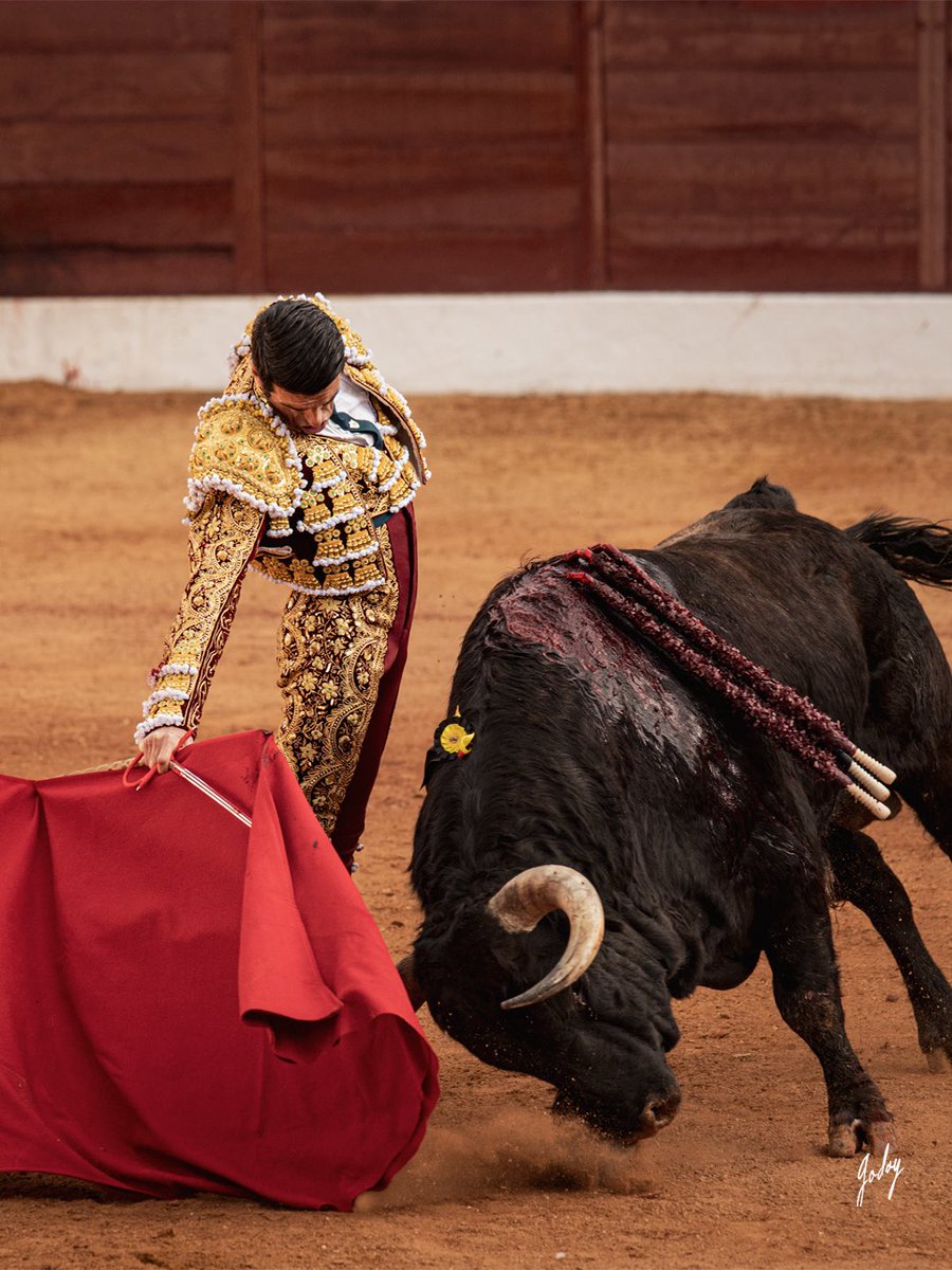 Eugenia Godoy tweet media