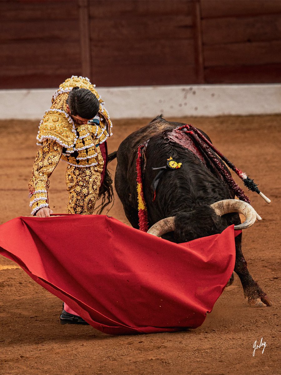 Eugenia Godoy tweet media