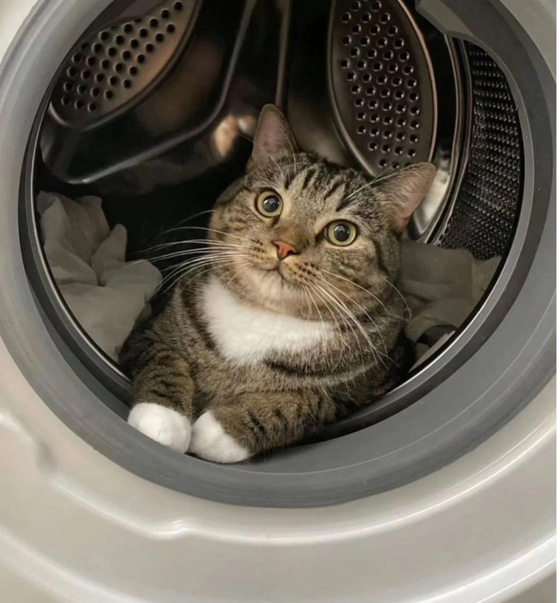 Працівник культури 🇺🇦 tweet media