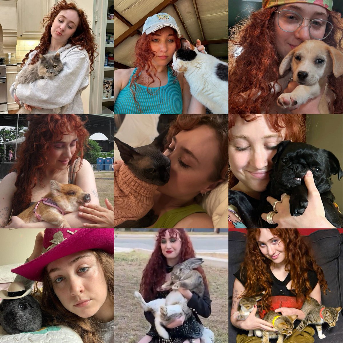 cherry ⋆˙⟡ tweet media