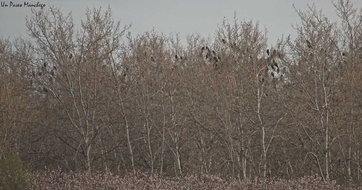 Guías de España tweet media
