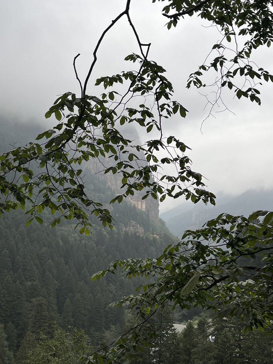 fluXplorer tweet media