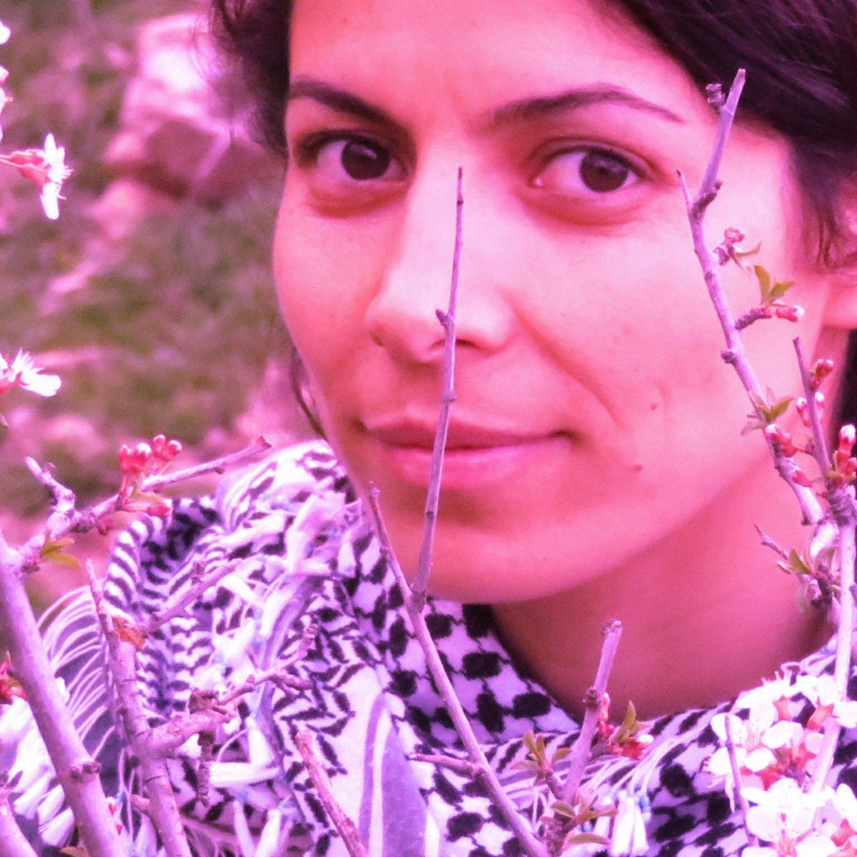 Shahram Mouselchi tweet media