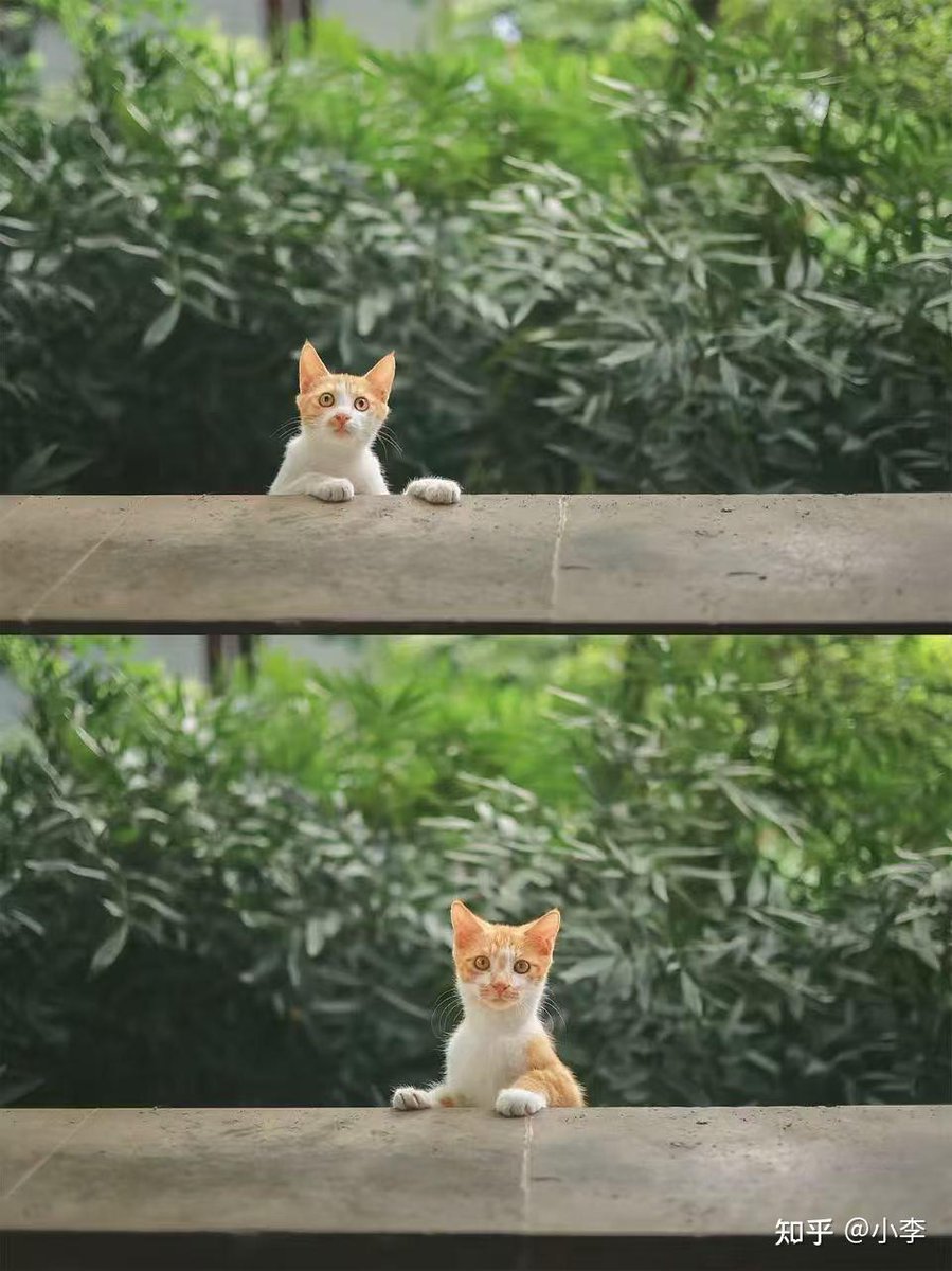 khalid liban tweet media