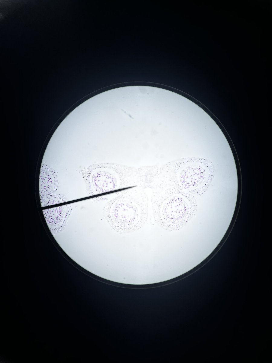 psl ‎ 🥀 tweet media