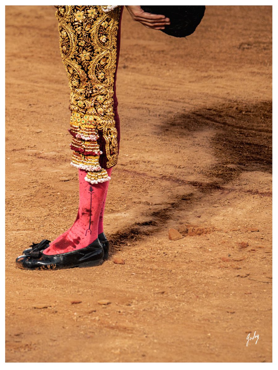 Eugenia Godoy tweet media