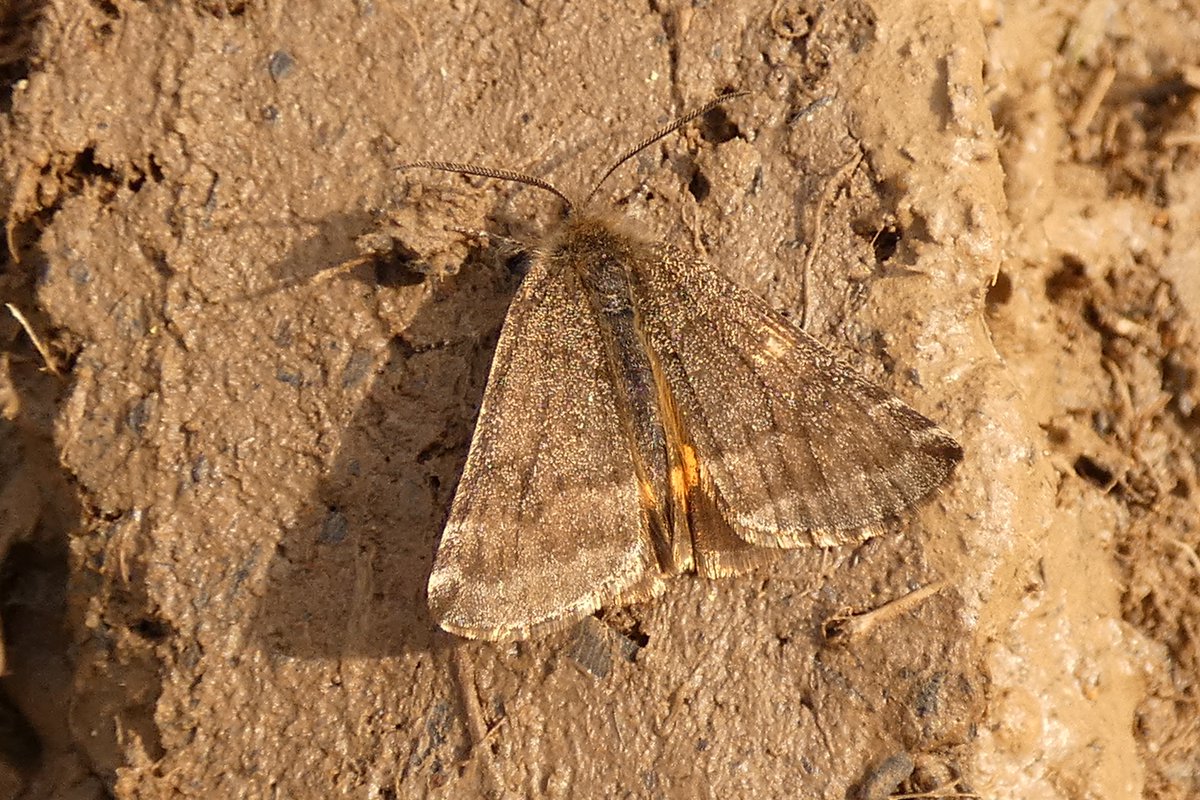 James Timms tweet media