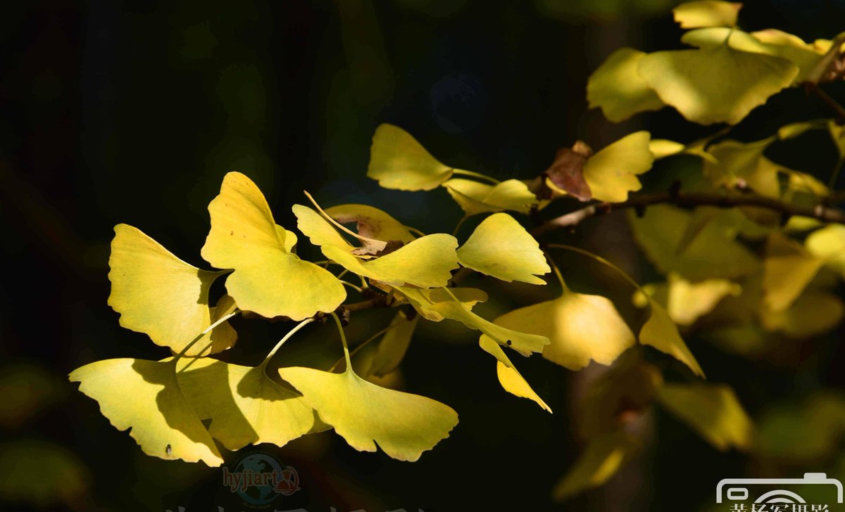 Cathy Richmond tweet media